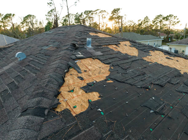  Daytona Beach Shores, FL Roofing Service Pros