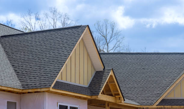 Best Skylight Installation and Repair  in Daytona Beach Shores, FL